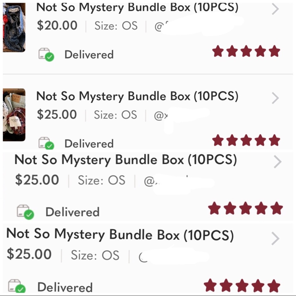 BEST Not So Mystery Reseller Bundle Box (10PCS) - Picture 6 of 6